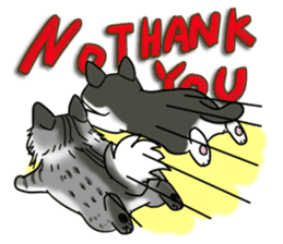 Cat theater MarineLand sticker #3008056