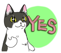 Cat theater MarineLand sticker #3008057