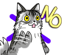 Cat theater MarineLand sticker #3008058