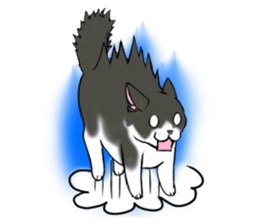 Cat theater MarineLand sticker #3008059