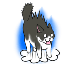 Cat theater MarineLand sticker #3008059