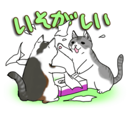 Cat theater MarineLand sticker #3008061