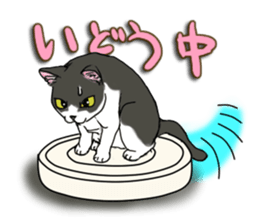 Cat theater MarineLand sticker #3008062