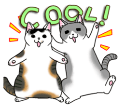 Cat theater MarineLand sticker #3008064