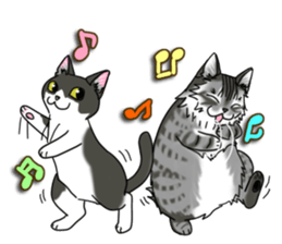 Cat theater MarineLand sticker #3008067