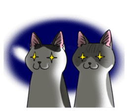 Cat theater MarineLand sticker #3008068