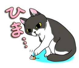 Cat theater MarineLand sticker #3008069