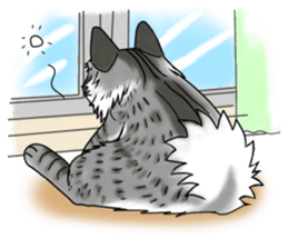 Cat theater MarineLand sticker #3008070