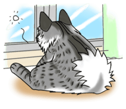 Cat theater MarineLand sticker #3008070