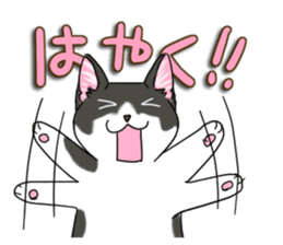 Cat theater MarineLand sticker #3008071