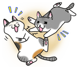 Cat theater MarineLand sticker #3008074