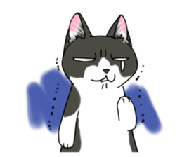 Cat theater MarineLand sticker #3008075