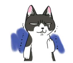 Cat theater MarineLand sticker #3008075