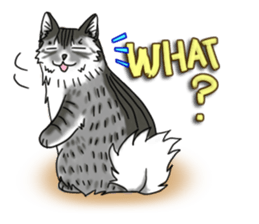 Cat theater MarineLand sticker #3008076