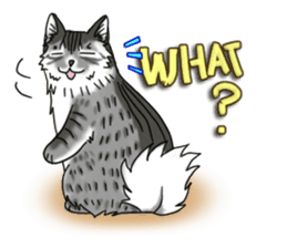 Cat theater MarineLand sticker #3008076