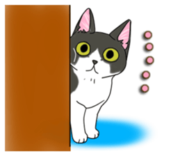 Cat theater MarineLand sticker #3008077