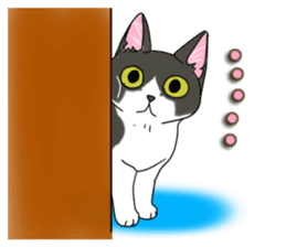 Cat theater MarineLand sticker #3008077