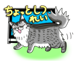 Cat theater MarineLand sticker #3008078