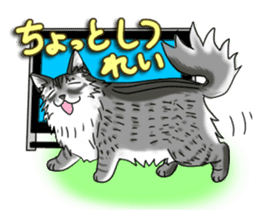 Cat theater MarineLand sticker #3008078