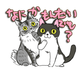 Cat theater MarineLand sticker #3008079