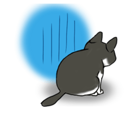 Cat theater MarineLand sticker #3008081