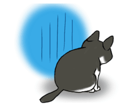 Cat theater MarineLand sticker #3008081