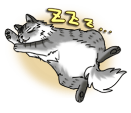 Cat theater MarineLand sticker #3008082