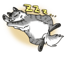 Cat theater MarineLand sticker #3008082