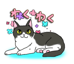 Cat theater MarineLand sticker #3008083