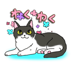 Cat theater MarineLand sticker #3008083