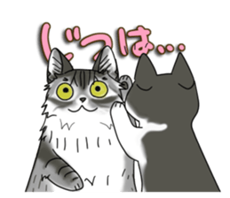 Cat theater MarineLand sticker #3008086