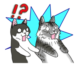 Cat theater MarineLand sticker #3008087