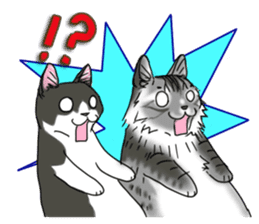 Cat theater MarineLand sticker #3008087