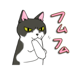 Cat theater MarineLand sticker #3008088