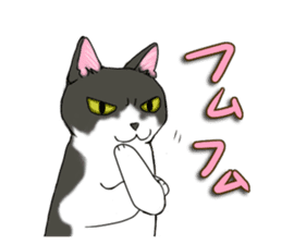 Cat theater MarineLand sticker #3008088