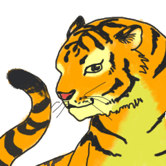 i am higth pride tiger