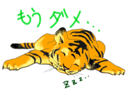 i am higth pride tiger sticker #3009739