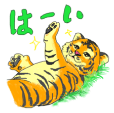 i am higth pride tiger sticker #3009747