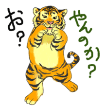 i am higth pride tiger sticker #3009751