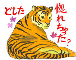i am higth pride tiger sticker #3009755