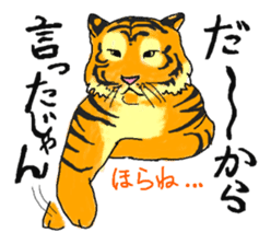 i am higth pride tiger sticker #3009756