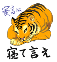 i am higth pride tiger sticker #3009757