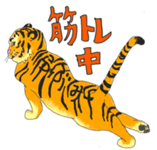 i am higth pride tiger sticker #3009758