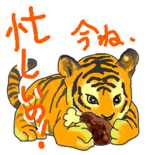 i am higth pride tiger sticker #3009761