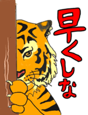 i am higth pride tiger sticker #3009762