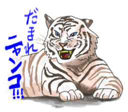 i am higth pride tiger sticker #3009765