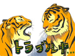i am higth pride tiger sticker #3009769