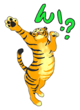 i am higth pride tiger sticker #3009770