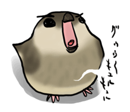 Young Java Sparrow sticker #3010380