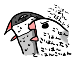 Young Java Sparrow sticker #3010382